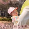 "인물났다" 박수홍 딸, 생애 첫 벚꽃 구경..반백살 아빠도 감탄