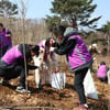 강원랜드,'희망의 숲'조성 노력! "ESG 실천!"