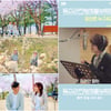 영탁 이어 '독수리 5형제' OST 또 터졌다..너드커넥션(서영주) '당신은 누구시길래' MV·가창 쇼츠 급상승