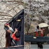 이시영, 이혼 후 더 행복한 모습..커플룩 입고 아들과 벚꽃 캠핑