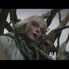 SF 대작 '프레데터: 죽음의 땅', 11월 韓 개봉 확정 [공식]