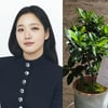 김고은, 어린이날 5천만 원 기부→어버이날 소속사 전 직원 가정에 화분+편지 '가정의 달 요정'