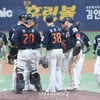 '33년을 기다렸다' 한화가 12연승이라니, '14G 연속 매진' 이글스 열풍은 계속된다