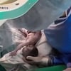 의료진 16명 투입, 세쌍둥이 탄생 "셋 다 호흡곤란에..둘째 기형" 父 근심 [우리 아기가 태어났어요][★밤TV]