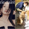 마스크 쓰고 개똥 치우던 '이상순♥' 이효리, 카리스마 본업 모먼트 [스타이슈]