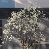 [부동산] 세종이 움직인다