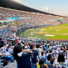 [포토] 500만 관중 돌파 기념, 골든 선셋