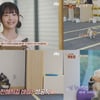 '집 나가면 개호강' 아이브 레이, 시청각 장애견 '테토' 감동 케어