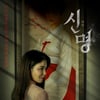 '김건희 삼킨' 김규리, '신명' 대박 터트렸다..40만 돌파 "영화적 살풀이" [스타이슈]