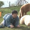 기안84, 알파카와 3년 만에 재회.."이시언에 고마워" [태계일주4][★밤TV]