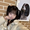 아이브 레이, '개호강 유치원' 1일 원장 활약 [개호강]