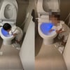 '김용건 며느리' 황보라 경악, 子 변기물에 손 넣고 첨벙첨벙..벌써 '짱구美'