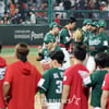[포토]'1위 한화에 역전승 자축하는 SSG선수들'
