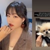악뮤 이수현, 또다시 안타까운 근황.."많이 보고 싶을거야 사랑해"
