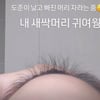 '아들 다섯 출산' 정주리, 산후 탈모 극복 중..자라는 새싹 머리 인증 "귀여워"