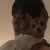 이민호, 안타까운 소식..16년 함께한 반려견과 이별 "자연의 품으로 돌아가"