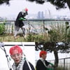샤이니 키, 정글로 변한 한강뷰 테라스에 '울먹'..예초기 투입 [나혼자산다]