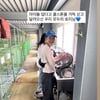 이효리, 폭염 속 유기견 보호소로.."대견해 정말" [스타이슈]