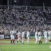3연속 루징시리즈→'롯데 큰일났네' 했는데... 파죽의 5연승, 좀비 거인이 또 살아났다