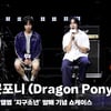 드래곤포니 (Dragon Pony), '핫한 해외 반응! 생생 후기' [영상]