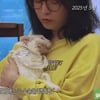 김정난, 18년 함께한 반려묘 잃고 오열..암 제거 수술에도 증식 "이제 아프지 마"