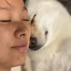 '이상순♥' 이효리, 60억 평창동家 반려견과 행복.."사랑해"