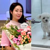 '김태현♥' 미자, 안타까운 반려견 소식.."이물질 삼켜 장폐색"