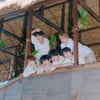 발리 올로케 촬영..NCT WISH, '서머킹' 노리는 '서프' 발매