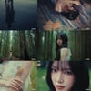 유주, 미니 3집 '인 블룸' 발매..음악적 성장 입증