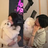 얼마나 좋으면..수지 맞은 송혜교, 야밤 집 데이트 사진 공개 [스타이슈]