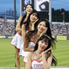 [포토] 1위 질주 'LG 4층 꽃탑'
