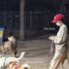 '이상순♥'이효리, 모자 눌러 쓰고..산책 포착