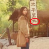 '폭군의 셰프', 190개국에 大망신.."서울대 나와 '태평성대학교' 만든 장태유" 질타 [스타이슈]
