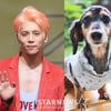'샤이니 종현 반려견' 루, 15살에 세상 떠났다.."벌써 보고 싶다"[스타이슈]