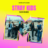 Stray Kids四年连续荣获美国“MTV VMA”最佳K-POP提名，再次认证全球地位