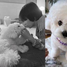 송혜교 "목걸이 고마워요"..커플 팔찌·목걸이 귀여운 '인증'
