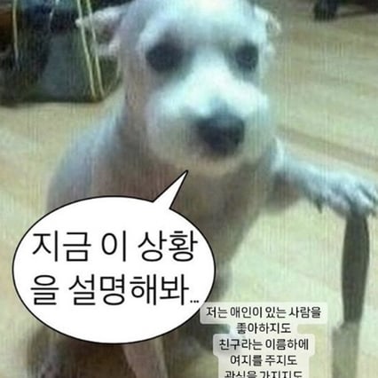 기사 이미지