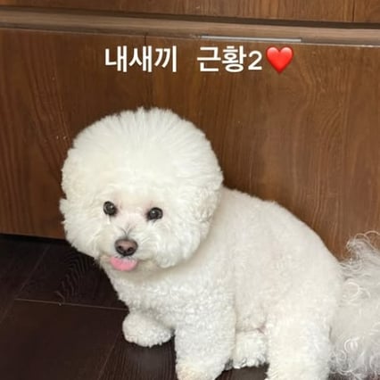 기사 이미지