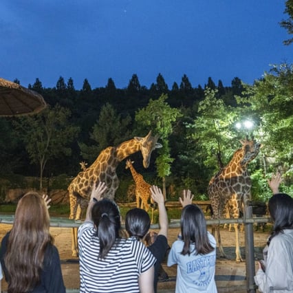 '반딧불이도 있네' 에버랜드, 여름방학 동물 탐험 프로그램 진행