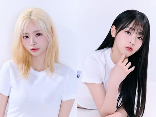 기사 이미지