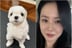 '현빈♥' 손예진, 아들 육아 중에도 딸은 어렵네.."밥도 먹고 다했는데"