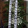 21번째 이미지