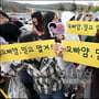 10번째 이미지