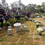 12번째 이미지