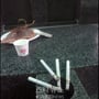13번째 이미지