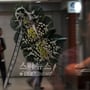 30번째 이미지