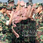 8번째 이미지