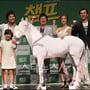 6번째 이미지