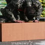 5번째 이미지
