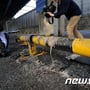 6번째 이미지